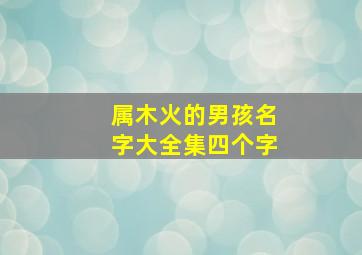 属木火的男孩名字大全集四个字