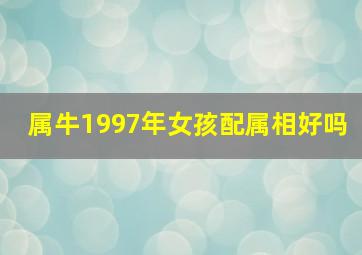 属牛1997年女孩配属相好吗