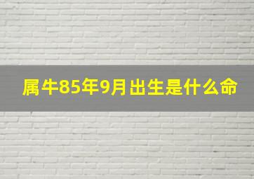 属牛85年9月出生是什么命