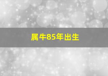 属牛85年出生