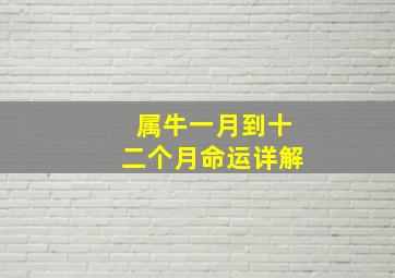 属牛一月到十二个月命运详解