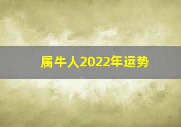 属牛人2022年运势