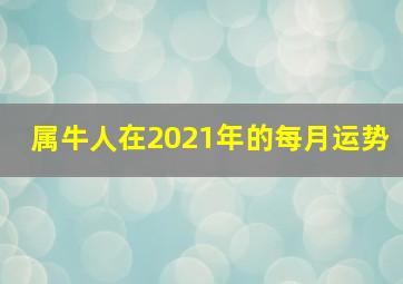 属牛人在2021年的每月运势