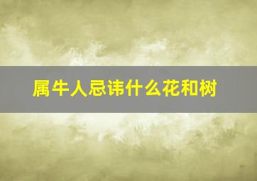 属牛人忌讳什么花和树