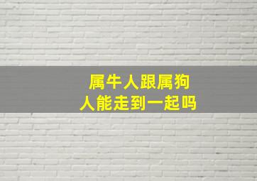 属牛人跟属狗人能走到一起吗