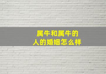 属牛和属牛的人的婚姻怎么样