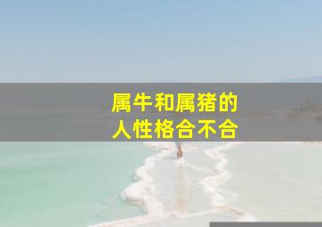 属牛和属猪的人性格合不合