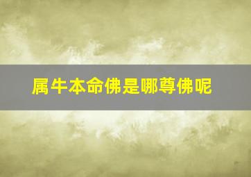 属牛本命佛是哪尊佛呢