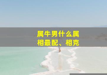 属牛男什么属相最配、相克