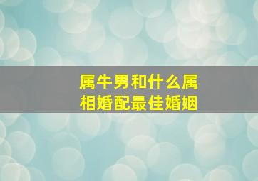 属牛男和什么属相婚配最佳婚姻