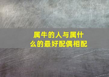 属牛的人与属什么的最好配偶相配