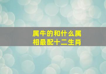 属牛的和什么属相最配十二生肖