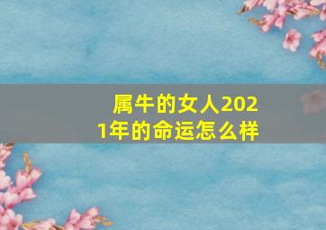 属牛的女人2021年的命运怎么样