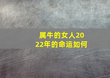 属牛的女人2022年的命运如何