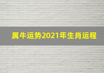 属牛运势2021年生肖运程