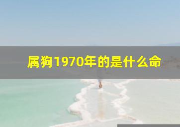 属狗1970年的是什么命