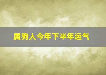 属狗人今年下半年运气