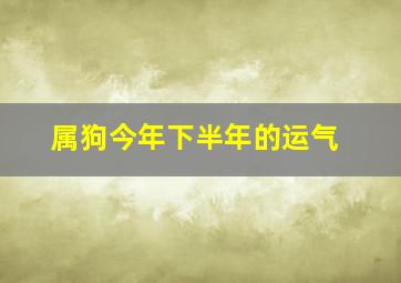 属狗今年下半年的运气