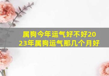 属狗今年运气好不好2023年属狗运气那几个月好