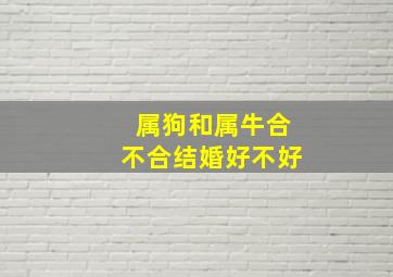 属狗和属牛合不合结婚好不好