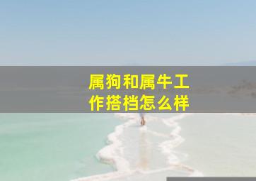 属狗和属牛工作搭档怎么样