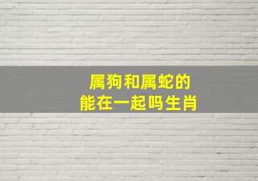 属狗和属蛇的能在一起吗生肖