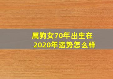 属狗女70年出生在2020年运势怎么样