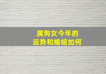 属狗女今年的运势和婚姻如何