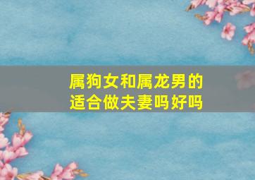 属狗女和属龙男的适合做夫妻吗好吗