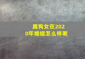 属狗女在2020年婚姻怎么样呢