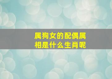 属狗女的配偶属相是什么生肖呢