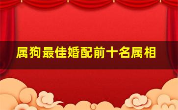 属狗最佳婚配前十名属相