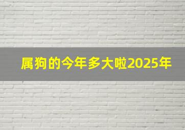 属狗的今年多大啦2025年