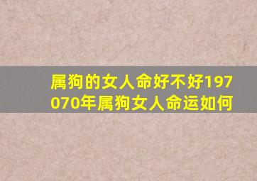 属狗的女人命好不好197070年属狗女人命运如何