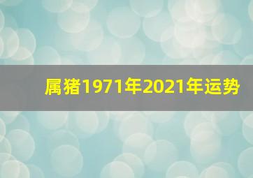 属猪1971年2021年运势