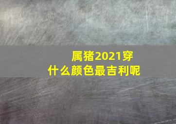 属猪2021穿什么颜色最吉利呢