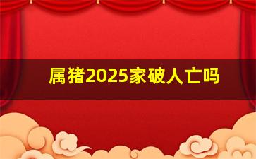 属猪2025家破人亡吗