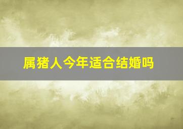 属猪人今年适合结婚吗