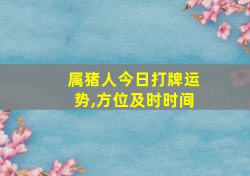 属猪人今日打牌运势,方位及时时间