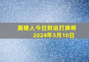 属猪人今日财运打麻将2024年5月10日