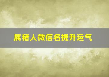 属猪人微信名提升运气