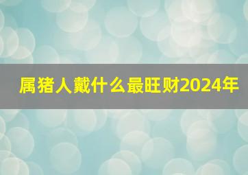 属猪人戴什么最旺财2024年