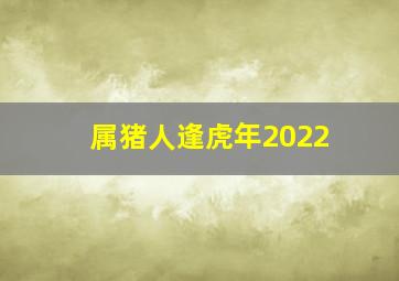 属猪人逢虎年2022