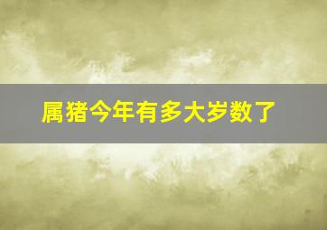 属猪今年有多大岁数了