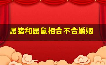 属猪和属鼠相合不合婚姻