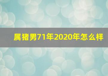 属猪男71年2020年怎么样