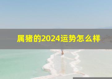 属猪的2024运势怎么样