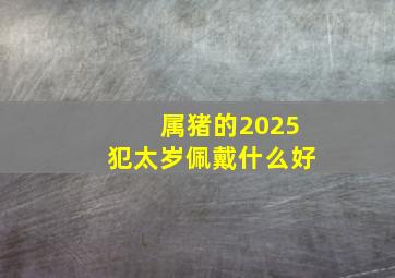 属猪的2025犯太岁佩戴什么好