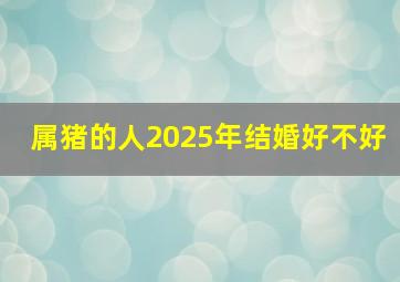 属猪的人2025年结婚好不好