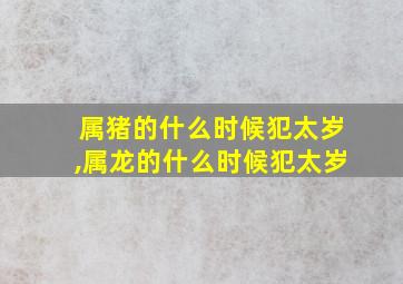 属猪的什么时候犯太岁,属龙的什么时候犯太岁